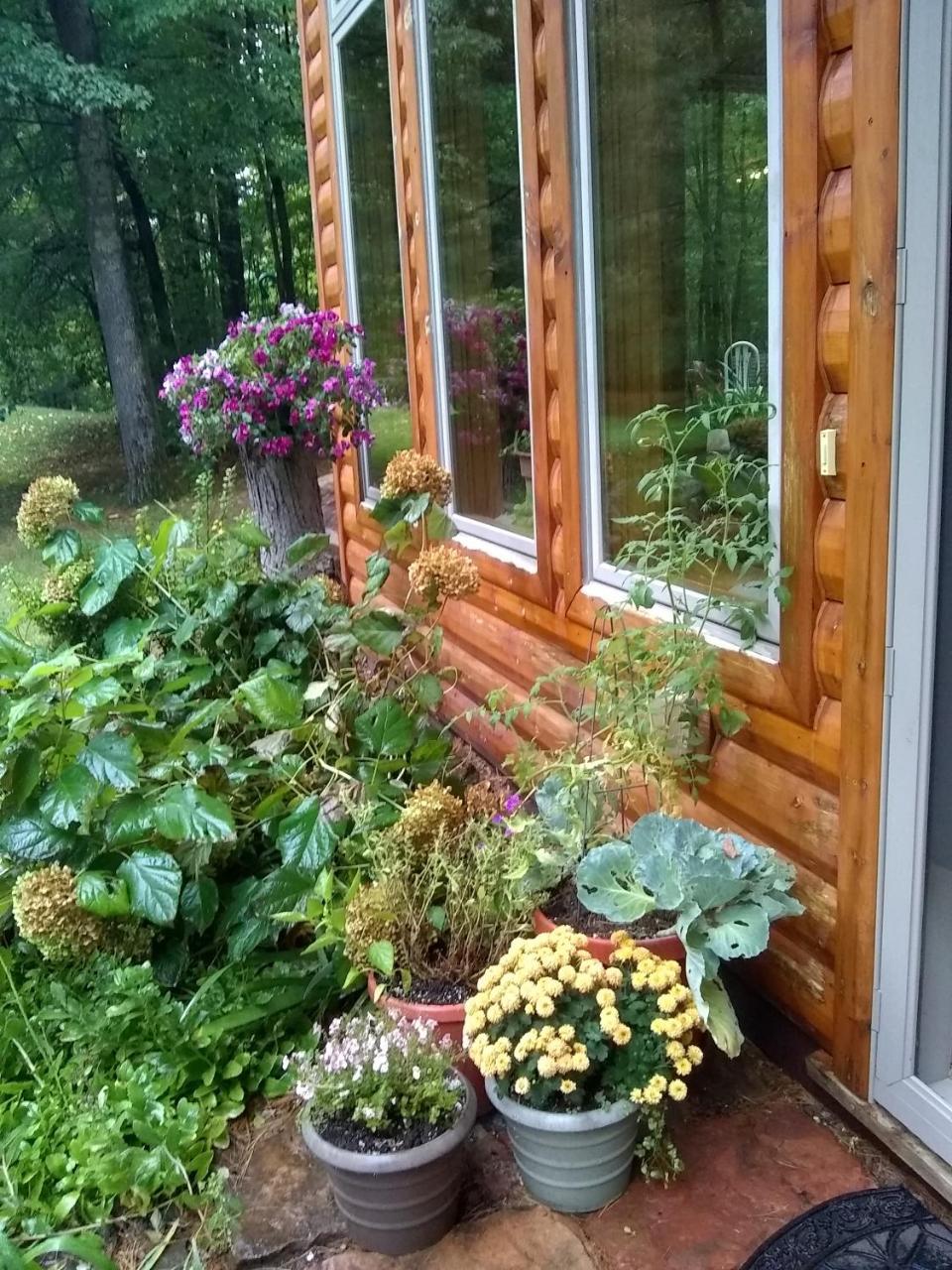 Bed And Breakfast Suite At The Wooded Retreat Pine City Esterno foto
