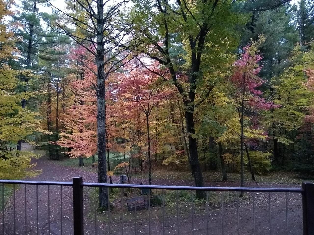 Bed And Breakfast Suite At The Wooded Retreat Pine City Esterno foto
